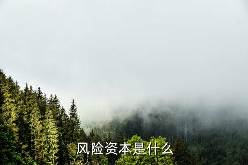  風險資本是什么