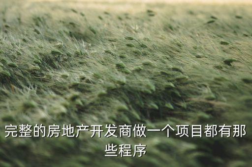完整的房地產(chǎn)開發(fā)商做一個項目都有那些程序
