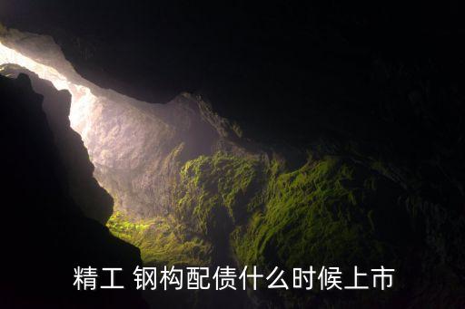  精工 鋼構(gòu)配債什么時(shí)候上市