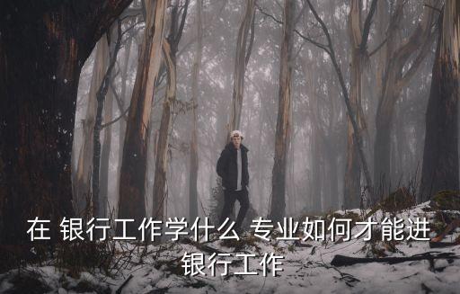 在 銀行工作學(xué)什么 專業(yè)如何才能進(jìn) 銀行工作