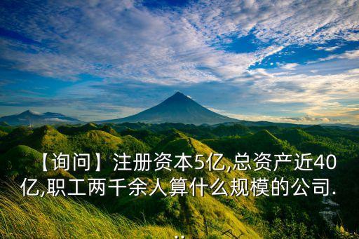【詢問(wèn)】注冊(cè)資本5億,總資產(chǎn)近40億,職工兩千余人算什么規(guī)模的公司...