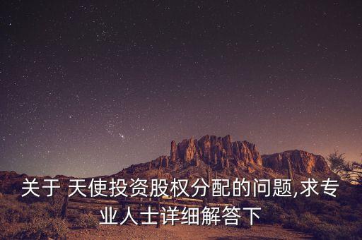 關(guān)于 天使投資股權(quán)分配的問題,求專業(yè)人士詳細解答下