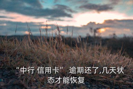 “中行 信用卡” 逾期還了,幾天狀態(tài)才能恢復(fù)