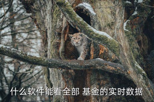 什么軟件能看全部 基金的實時數(shù)據(jù)