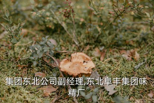 阜豐集團東北公司副經(jīng)理,東北阜豐集團味精廠