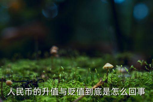 人民幣的升值與貶值到底是怎么回事