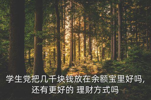學(xué)生黨把幾千塊錢放在余額寶里好嗎,還有更好的 理財方式嗎
