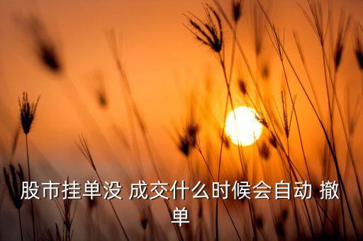 股市掛單沒 成交什么時候會自動 撤單