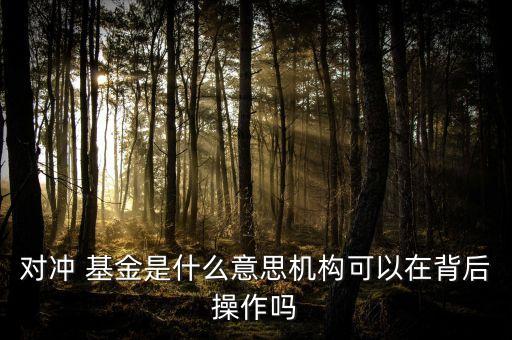 對沖 基金是什么意思機(jī)構(gòu)可以在背后操作嗎