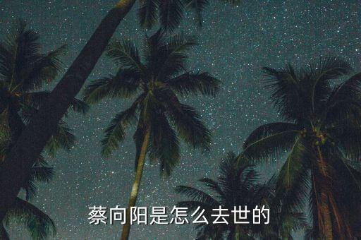 蔡向陽是怎么去世的