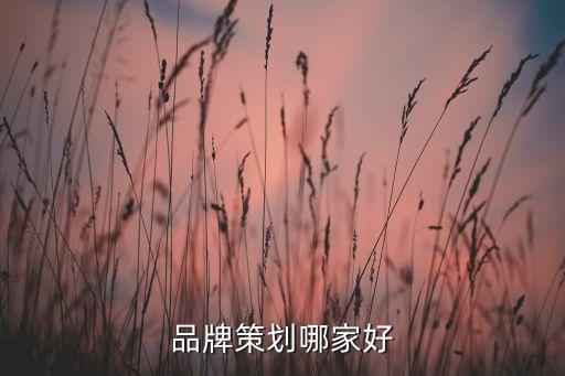 品牌策劃哪家好