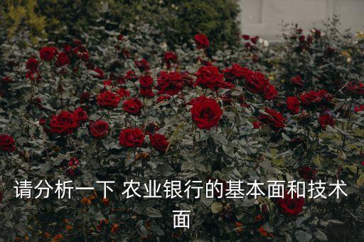 請分析一下 農業(yè)銀行的基本面和技術面