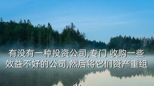 有沒有一種投資公司,專門 收購一些效益不好的公司,然后將它們資產(chǎn)重組...