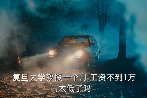  復旦大學教授一個月 工資不到1萬,太低了嗎