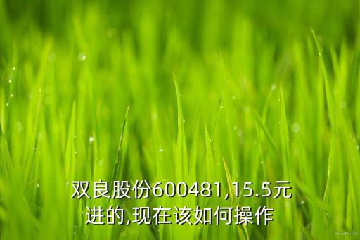 雙良氨綸有限公司,包頭雙良硅材料有限公司