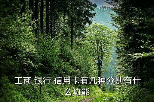  工商 銀行 信用卡有幾種分別有什么功能