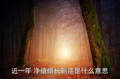 近一年 凈值增長到底是什么意思
