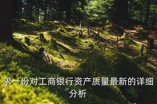 求一份對(duì)工商銀行資產(chǎn)質(zhì)量最新的詳細(xì)分析