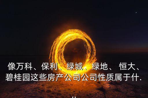 像萬科、保利、綠城、綠地、 恒大、碧桂園這些房產(chǎn)公司公司性質(zhì)屬于什...