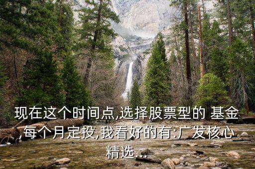 現(xiàn)在這個時(shí)間點(diǎn),選擇股票型的 基金,每個月定投,我看好的有:廣發(fā)核心精選...