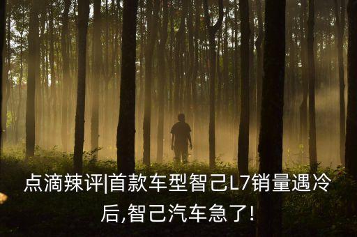 點(diǎn)滴辣評|首款車型智己L7銷量遇冷后,智己汽車急了!