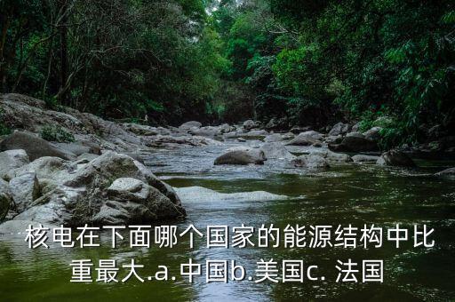 中國核電與法國核電,俄羅斯核電技術與法國核電技術水平