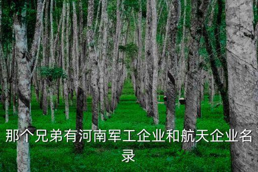 那個兄弟有河南軍工企業(yè)和航天企業(yè)名錄