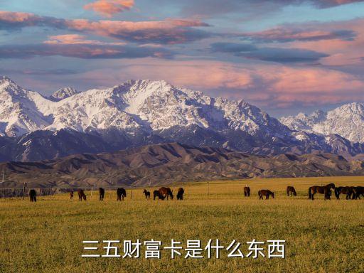  三五財富卡是什么東西