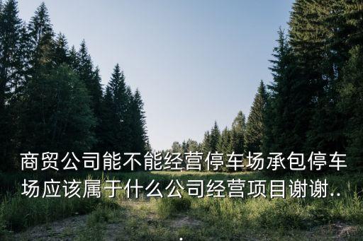  商貿(mào)公司能不能經(jīng)營停車場承包停車場應該屬于什么公司經(jīng)營項目謝謝...