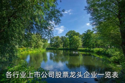 各行業(yè)上市公司股票龍頭企業(yè)一覽表
