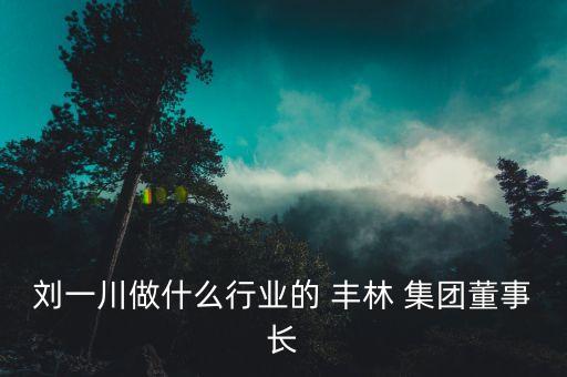 劉一川做什么行業(yè)的 豐林 集團(tuán)董事長