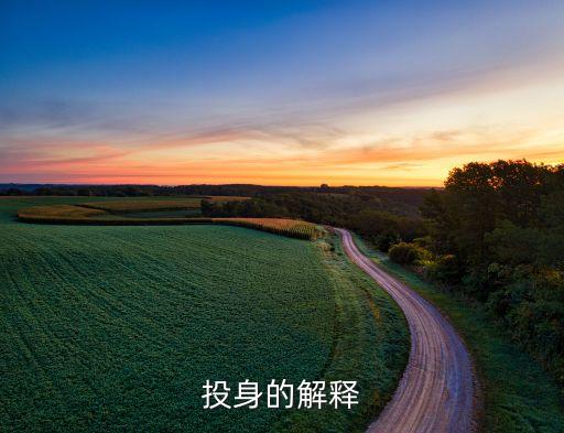 丹誠投資,丹誠控股投資有限公司
