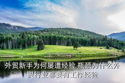 中國對外貿(mào)易的瓶頸問題,我國對外貿(mào)易發(fā)展的一大瓶頸是