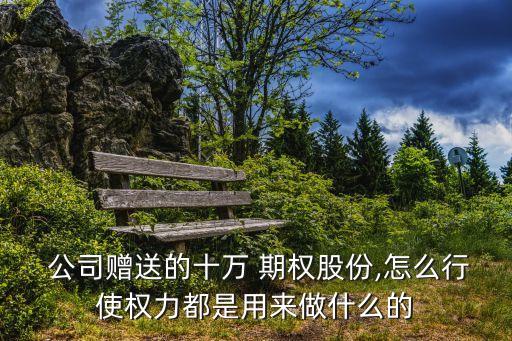  公司贈送的十萬 期權(quán)股份,怎么行使權(quán)力都是用來做什么的