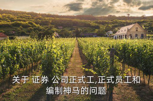 關(guān)于 證券 公司正式工,正式員工和編制神馬的問(wèn)題