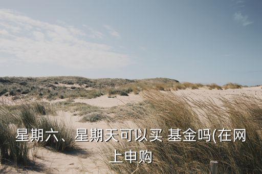 星期六、星期天可以買 基金嗎(在網(wǎng)上申購(gòu)