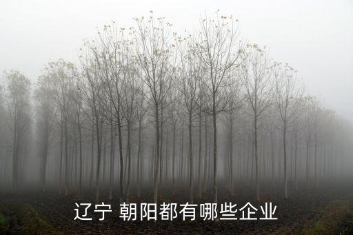 遼寧 朝陽(yáng)都有哪些企業(yè)