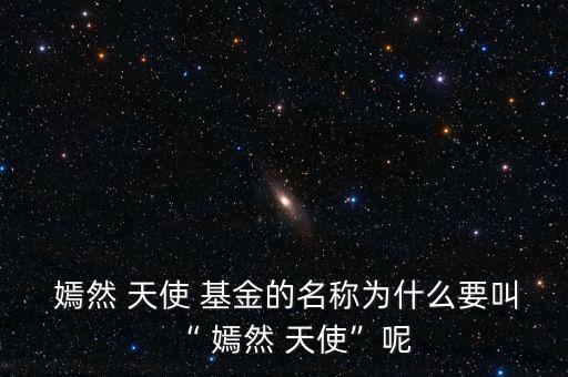 嫣然天使基金審計