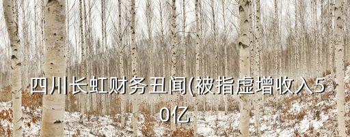  四川長(zhǎng)虹財(cái)務(wù)丑聞(被指虛增收入50億