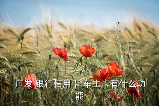  廣發(fā) 銀行信用卡 車主卡有什么功能