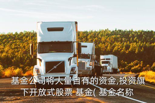  基金公司將大量自有的資金,投資旗下開(kāi)放式股票 基金( 基金名稱