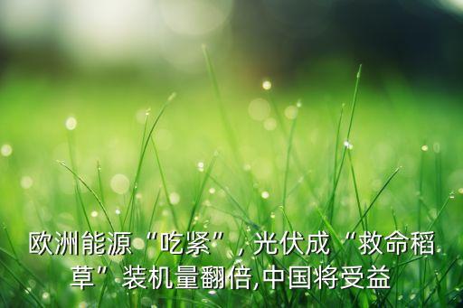 歐洲能源“吃緊”, 光伏成“救命稻草”裝機(jī)量翻倍,中國(guó)將受益