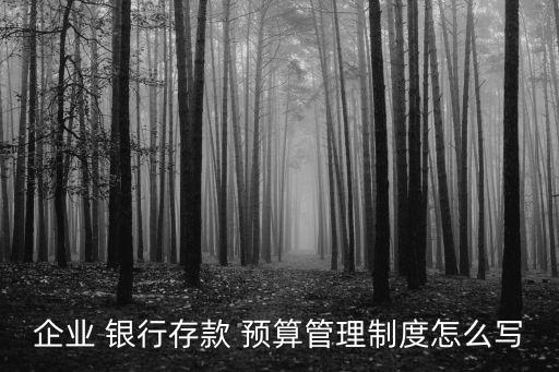 企業(yè) 銀行存款 預算管理制度怎么寫