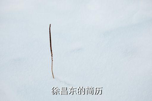  徐昌東的簡(jiǎn)歷