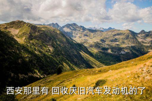 西安那里有 回收厭舊汽車發(fā)動(dòng)機(jī)的了