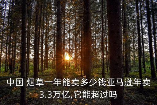 中國(guó) 煙草一年能賣多少錢亞馬遜年賣3.3萬(wàn)億,它能超過(guò)嗎