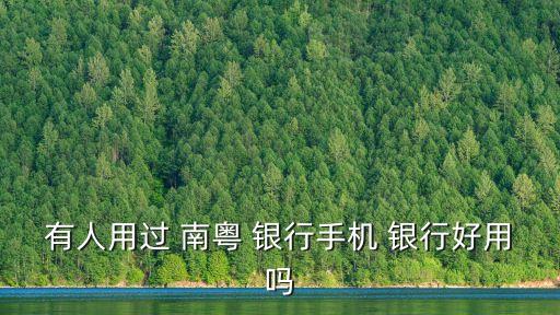 南粵銀行對公賬號網上銀行app,廣東南粵銀行網上銀行登錄