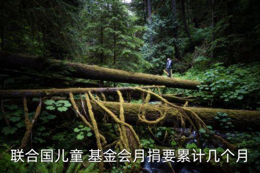 聯(lián)合國兒童 基金會月捐要累計幾個月