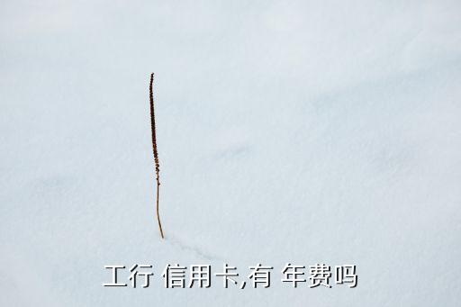 工行 信用卡,有 年費嗎