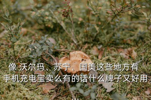 像 沃爾瑪、蘇寧、國美這些地方有 手機(jī)充電寶賣么有的話什么牌子又好用...